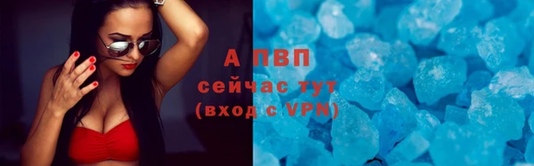 СК Нефтекумск