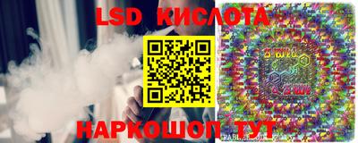 PSILOCYBIN Камышлов