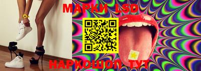 PSILOCYBIN Камышлов
