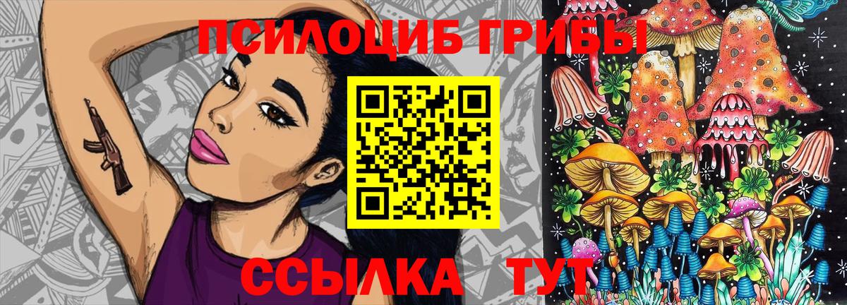 Псилоцибиновые грибы GOLDEN TEACHER Краснознаменск