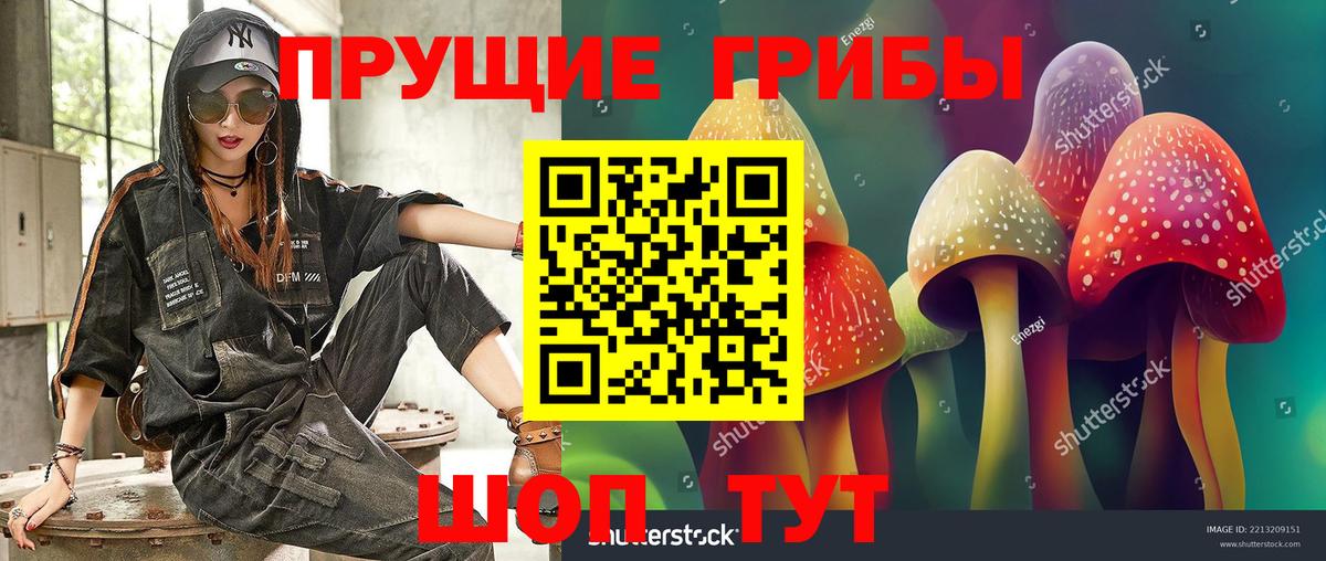 Галлюциногенные грибы Cubensis  Вход с VPN  Краснознаменск 