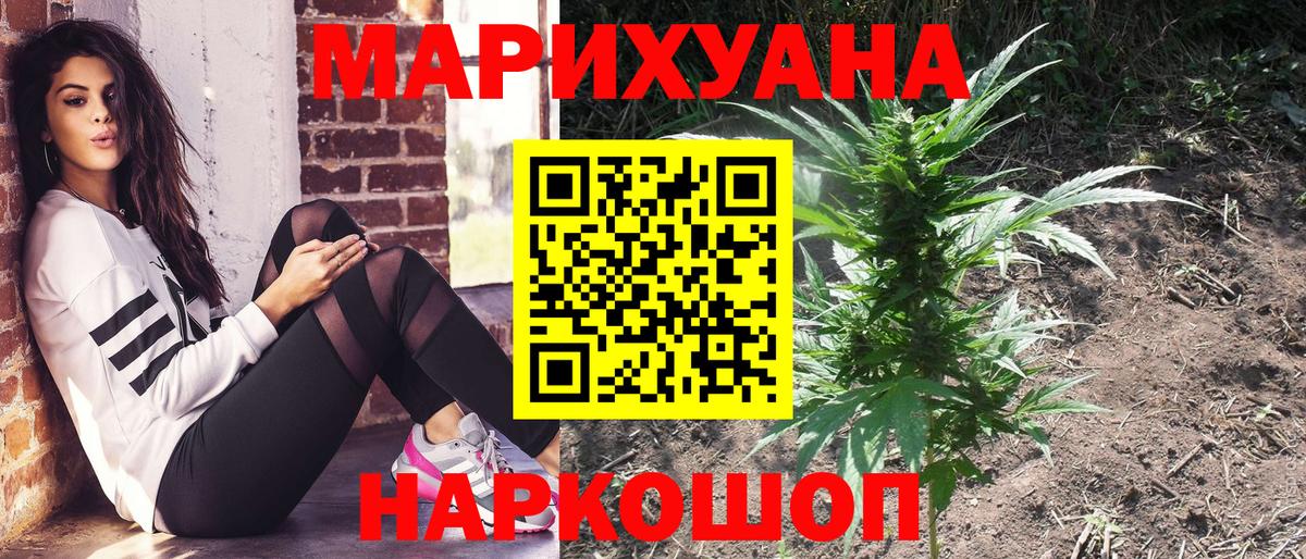 Марихуана конопля Краснознаменск